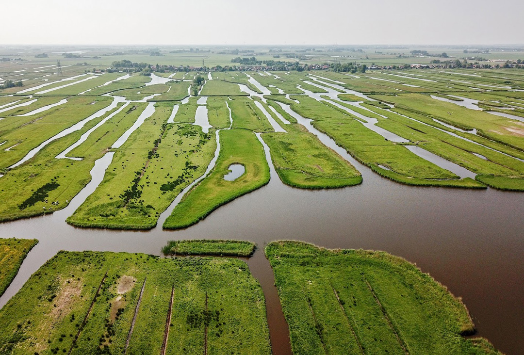 Polder landscape