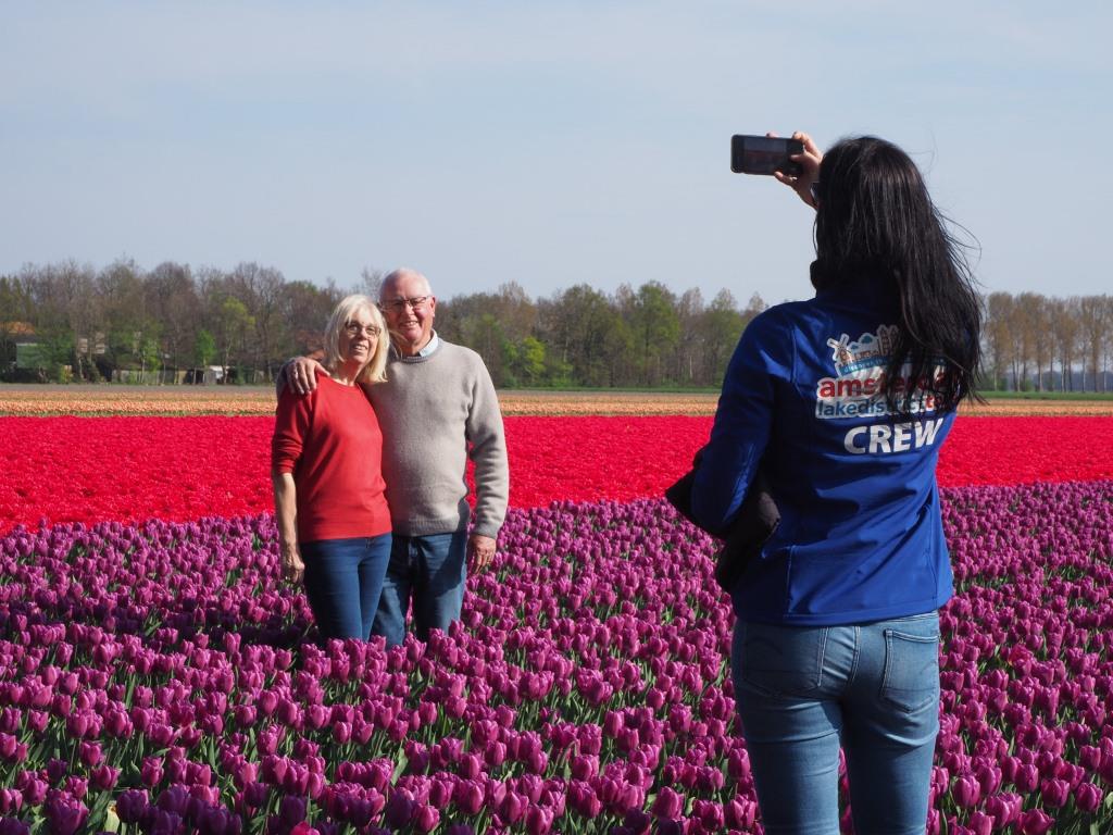 Tulips in Holland